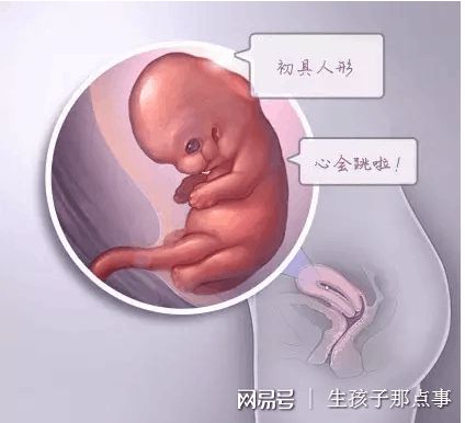 42岁高龄成功案例